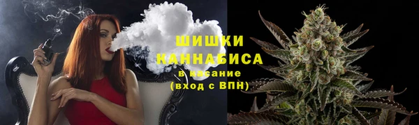 тгк Новодвинск