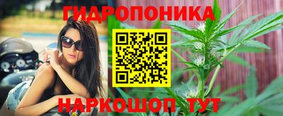 PSILOCYBIN Канаш