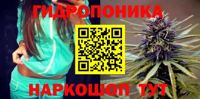 PSILOCYBIN Канаш