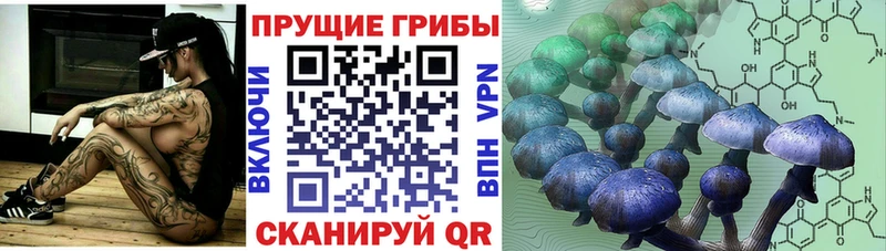 Галлюциногенные грибы Cubensis  Куйбышев 