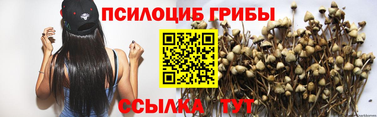 Псилоцибиновые грибы MAGIC MUSHROOMS Куйбышев